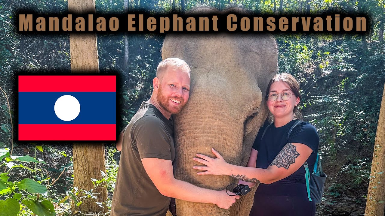 #47 Hiking With Elephants (SURREAL Experience) 🇱🇦🐘