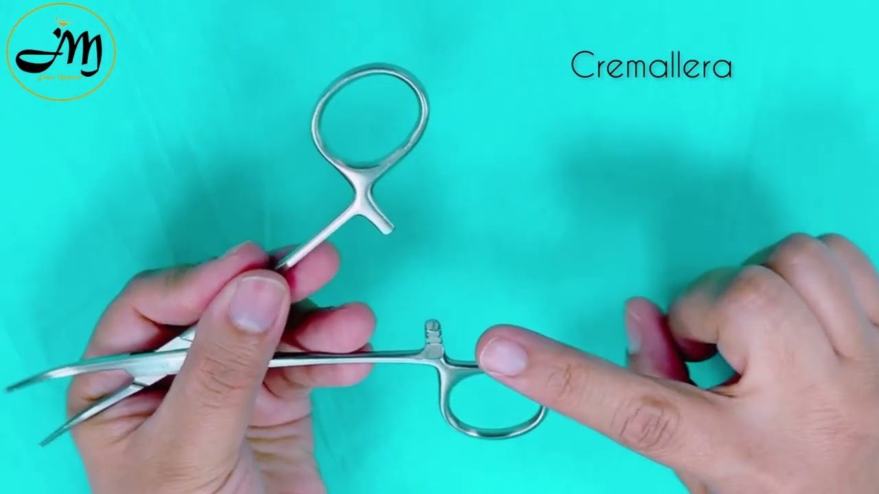 Pinza Kelly - Pinza Crile