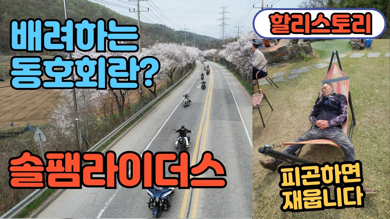 벚꽃길 라이딩|배려하는 동호회란?|솔팸라이더스|이화령|밥식집대|한옥정원숲