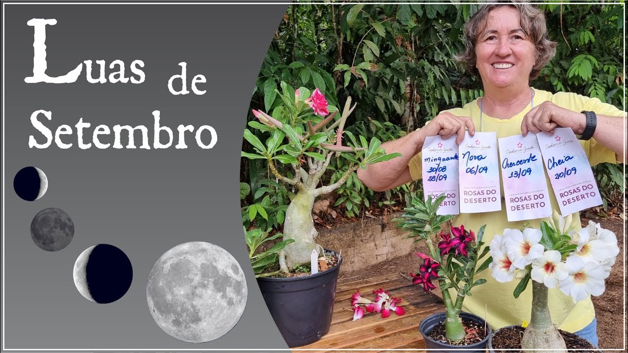 LUAS DE SETEMBRO: O que fazer em cada fase lunar, e quando começa e termina.
