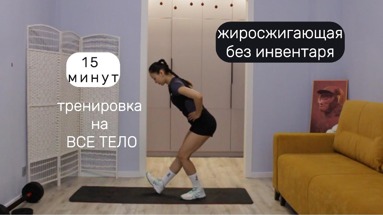 Тренировка на все тело 15 минут. Жиросжигающая. Без инвентаря