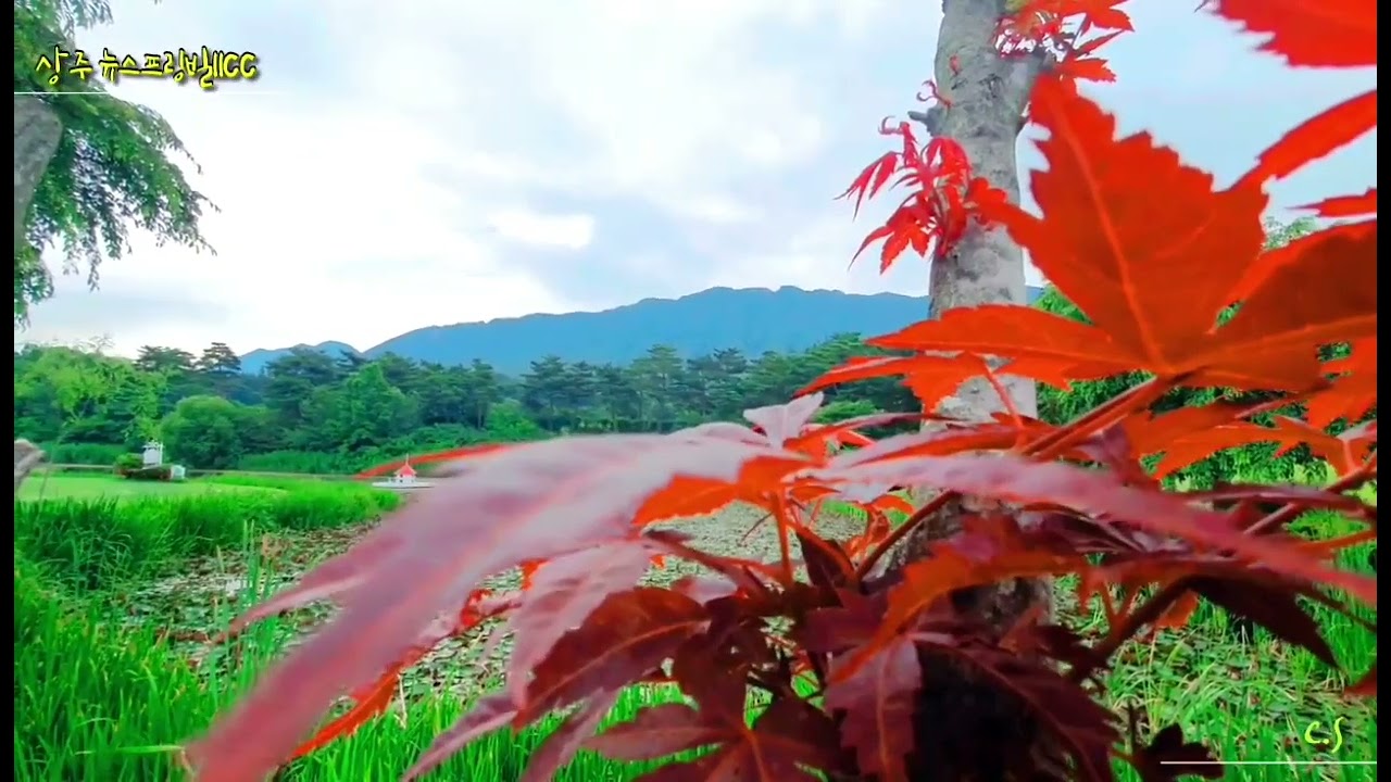 상주 뉴스프링빌2 cc