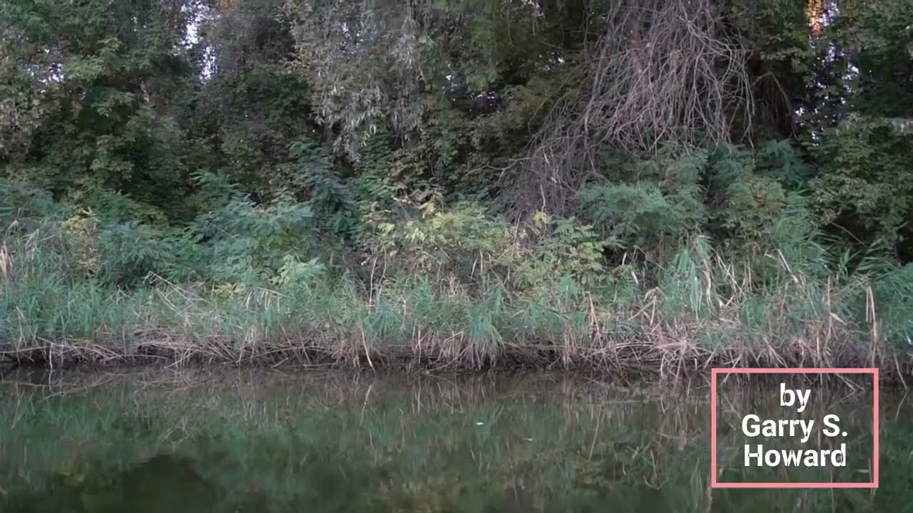 Just Say The Word - Afrobeat Gospel by Garry S. Howard