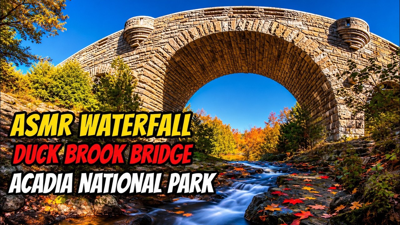 ASMR Waterfall at Duck Brook Bridge - Acadia National Park #asmr #asmrsounds #acadianationalpark