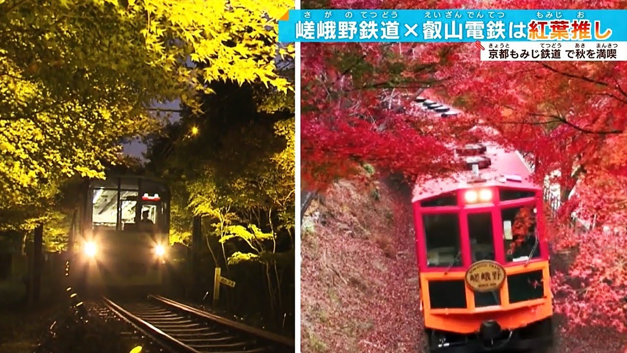 【#kyoto】秋は「京都もみじ鉄道」で「絶景」を満喫！見ごろは…＃鉄道ニュース