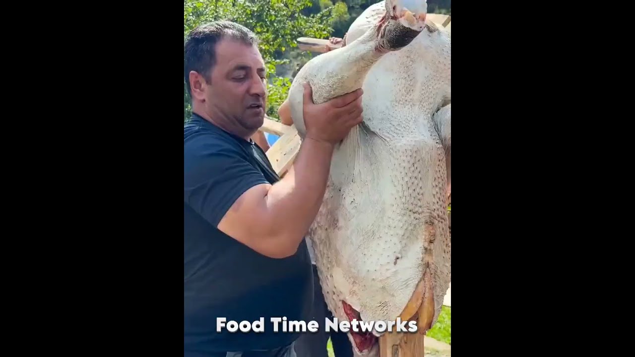 Wilderness Cooking! A Whole Big Ostrich Cooked in the Wild | Epic Outdoor Cooking in Rustic Style!