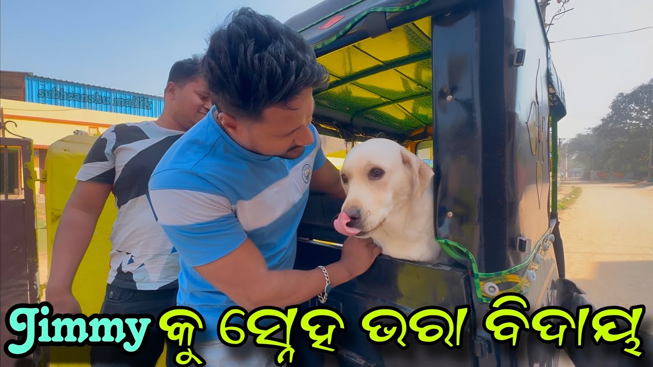 Jimmy କୁ ସ୍ନେହ ଭରା ବିଦାୟ || Adopted Dog || Labrador Dog || Pitbul Dog || Mini Zoo Odisha ||