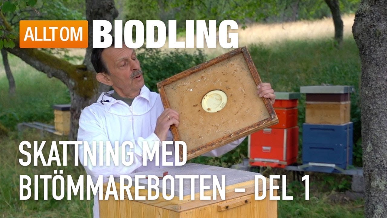Skattning med bitömmarebotten Del 1 - Biodling