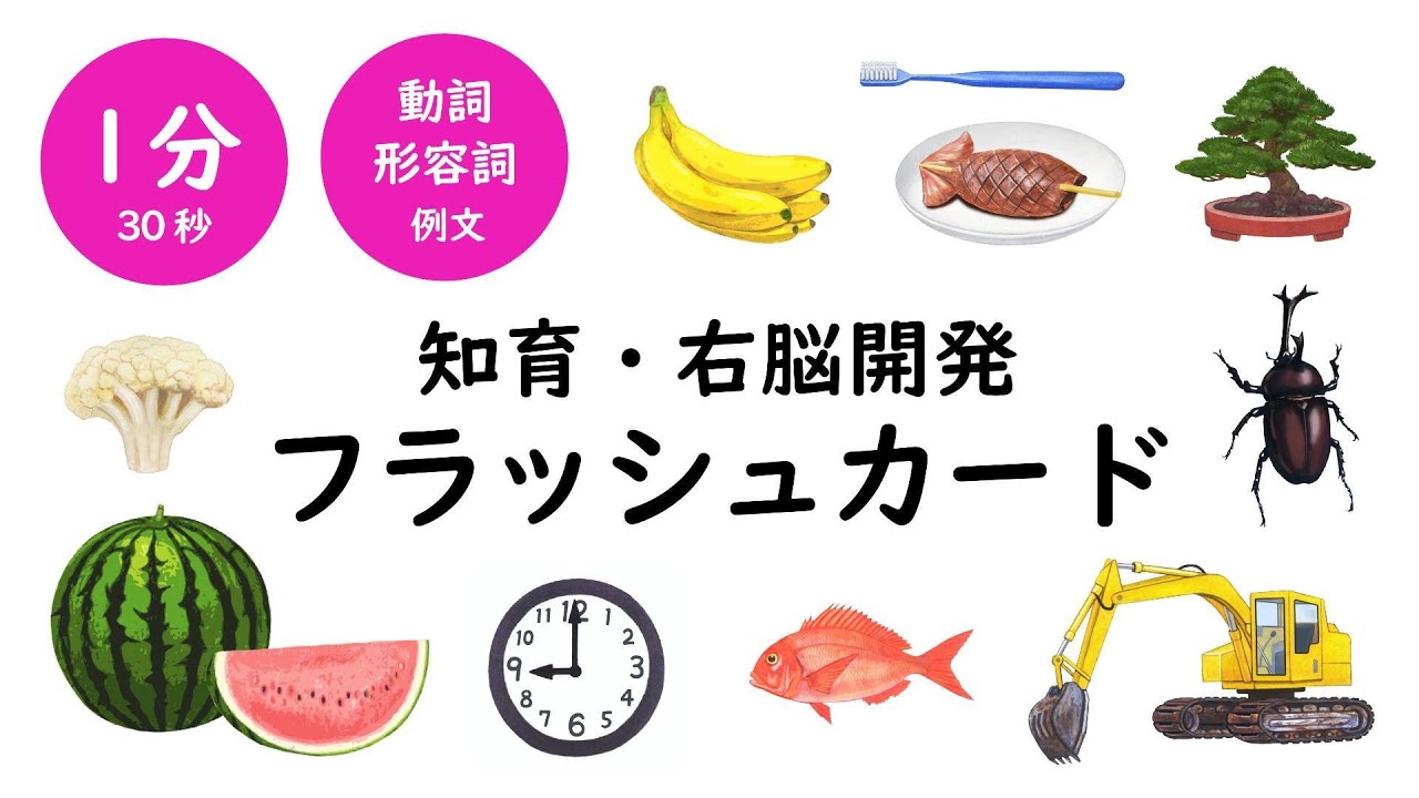 知育MIXフラッシュカード（動詞・形容詞例文）