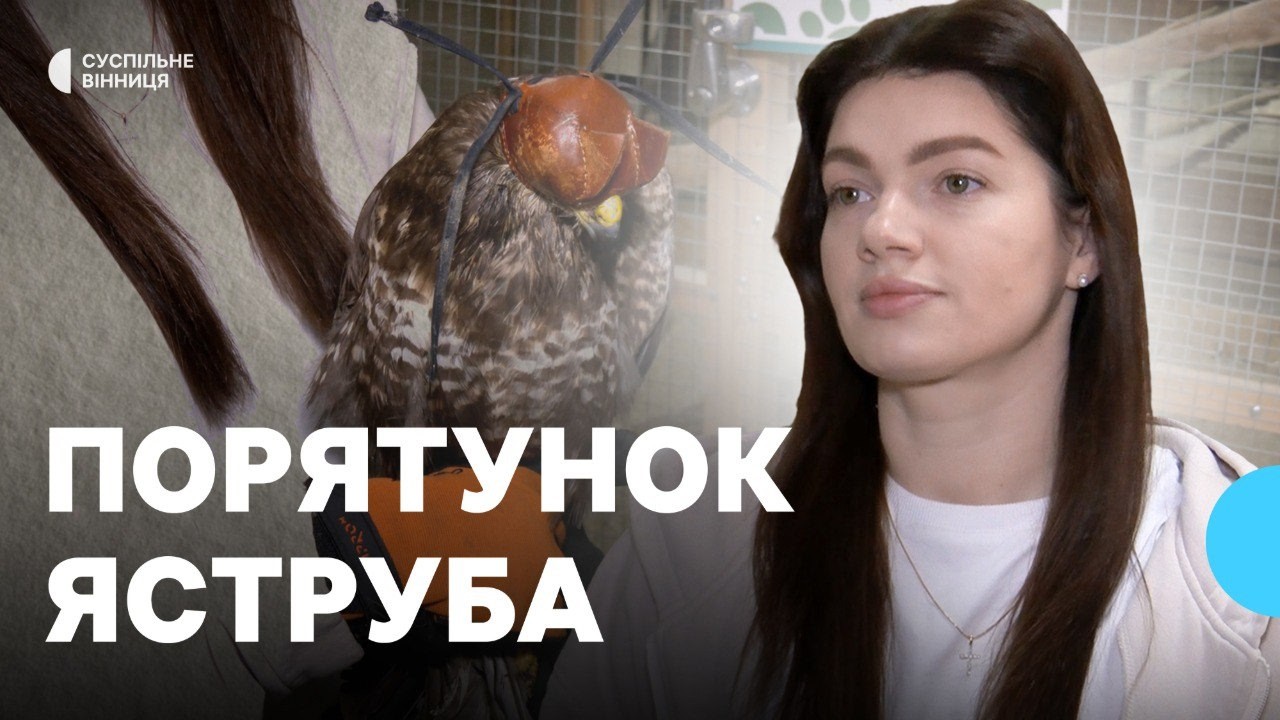 Мав подвійний перелом і втратив багато крові: у Вінниці військовий та волонтери врятували яструба