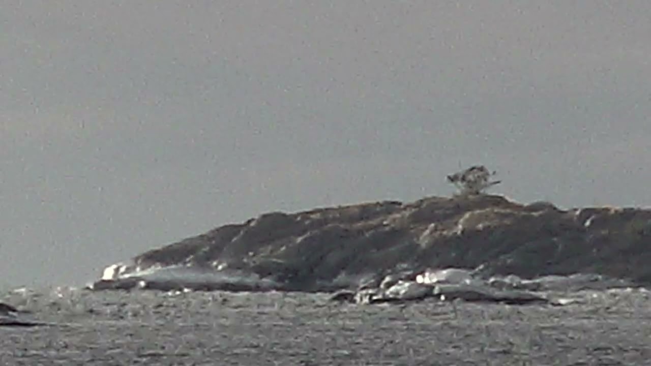 Ljuset vid Havet
