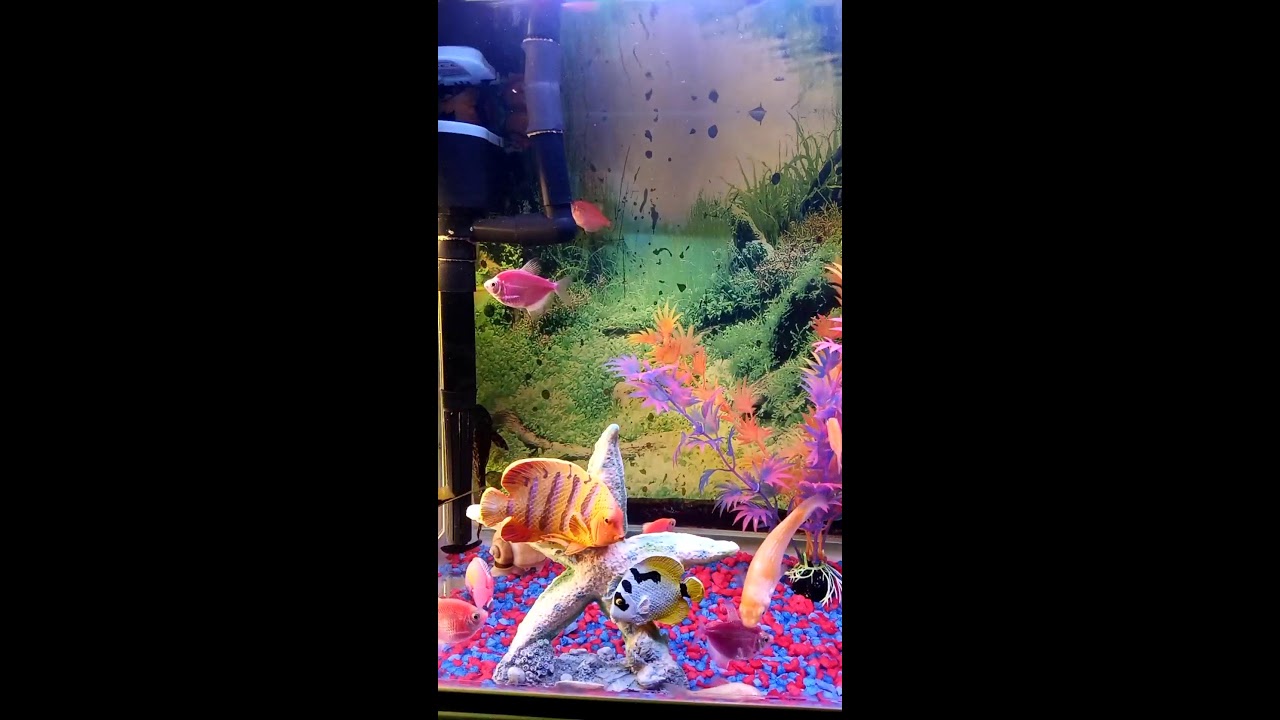 Catherine la monds please join my beautiful real guardian angel 🐠 🌹 😍 ✌️