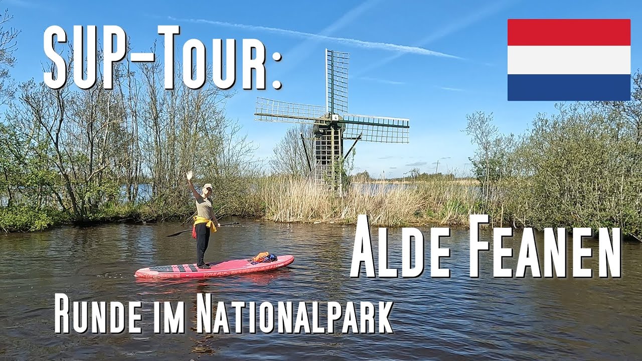 SUP-Tour: De Alde Feanen. Friesland, Niederlande. Eine 12 km Runde im Nationalpark ist ein Highlight
