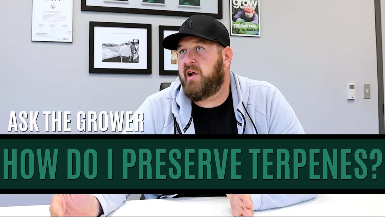 Ask The Grower - How Do I Preserve Terpenes?