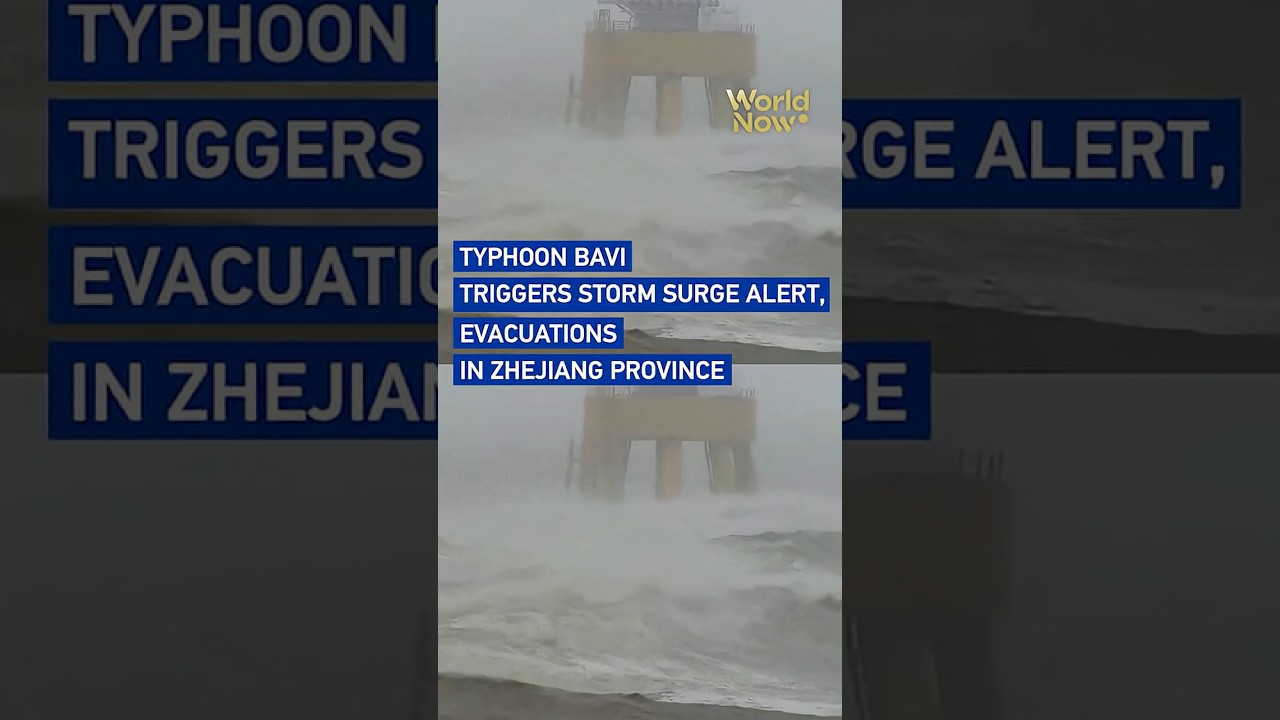 Typhoon Bavi triggers storm surge alert, evacuations in Zhejiang Province