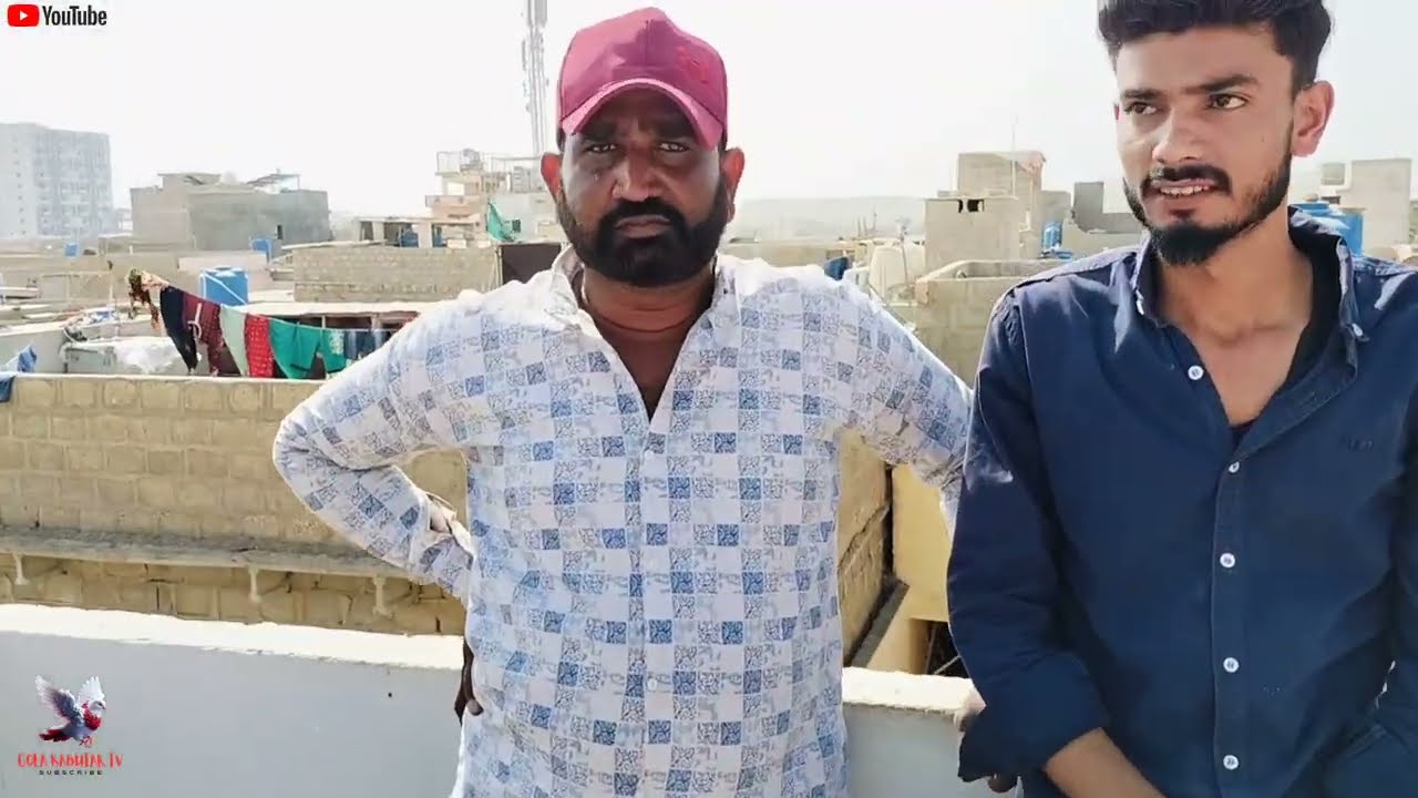 Subhan v/s Yawar | 100 + 100 Kabutar Ka Shouq | 4 Kabutar Aye 1st Day. 😀