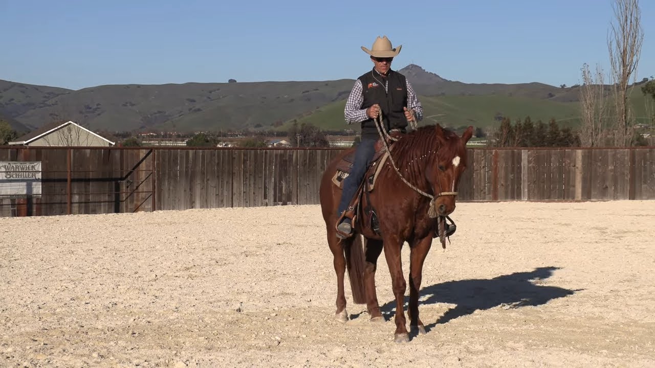 The benefits of teaching a horse to back up well