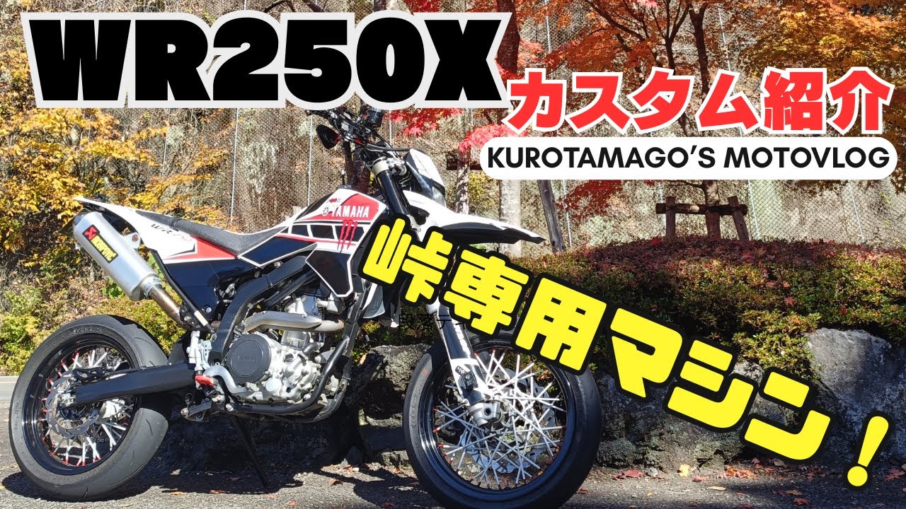 WR250X カスタム紹介　#ツーリング #モトブログ #WR250X #バイク #カスタム紹介