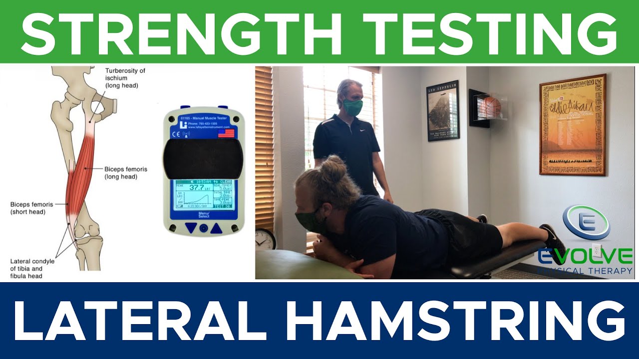 Lateral Hamstring | Strength Testing with a Hand Held Dynamometer