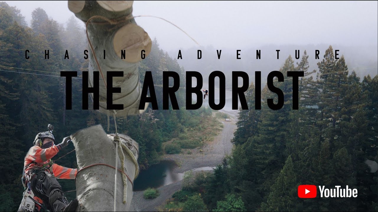 || Chasing Adventure The Arborist || Tree Surgeon Adventure Film || Climbing The Giant Redwoods