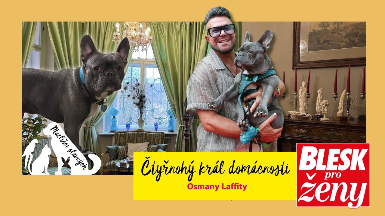 Milovník zvířat Osmany Laffita: Svému buldočkovi navrhl i košili, jeho tetování má na ruce!