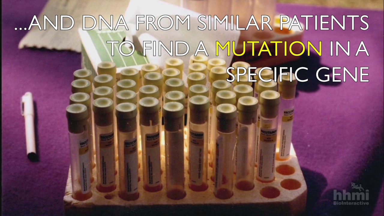 In a Minute Science: The Search for a Mutated Gene