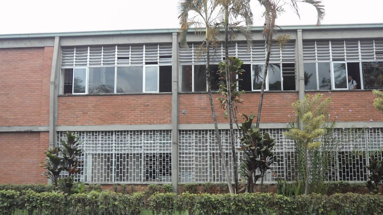 Video Institucional 
