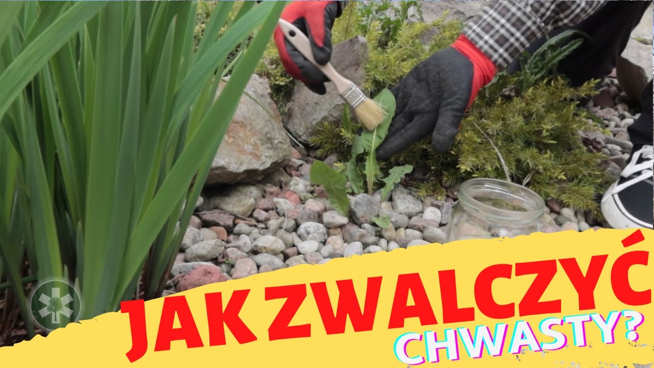 Jak pozbyć się uciążliwych CHWASTÓW?