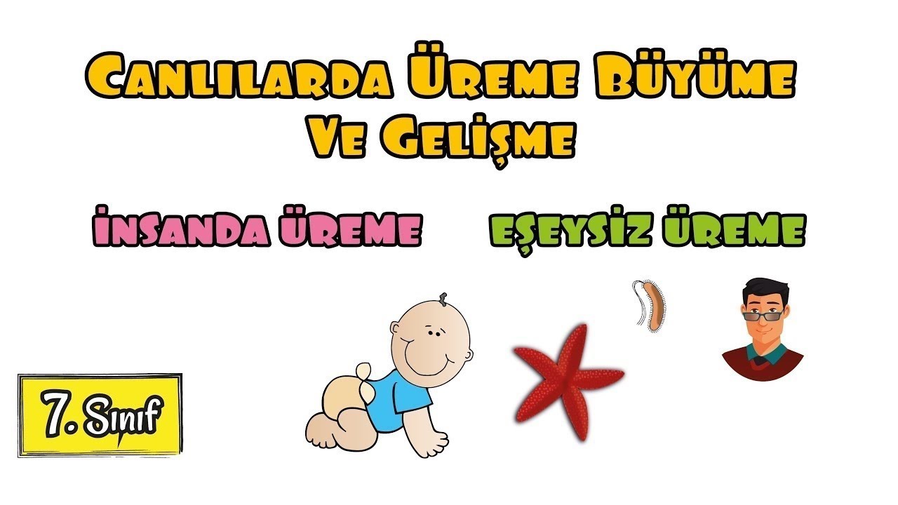 Canlılarda Üreme, Büyüme ve Gelişme / 7. Sınıf