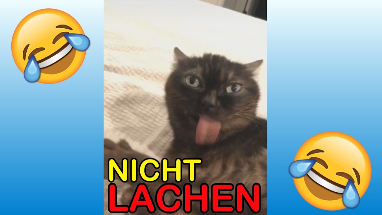 VERSUCHE NICHT ZU LACHEN !!! 🤣🤣🤣 #2