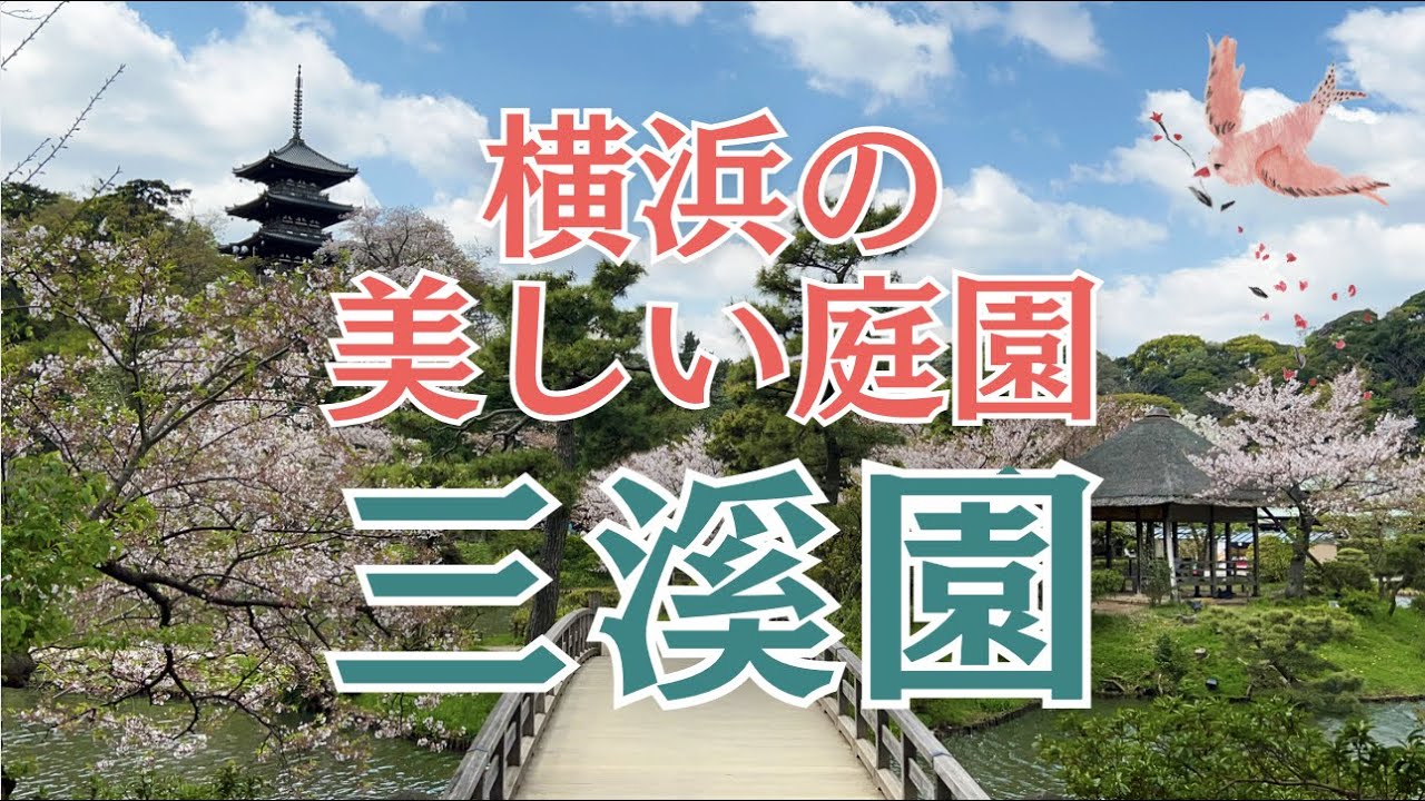 横浜の隠れた名所 三溪園　#横浜観光#横浜#yokohama#横浜デート#本牧#横浜vlog#お花見 #요코하마관광#橫濱觀光#横滨观光