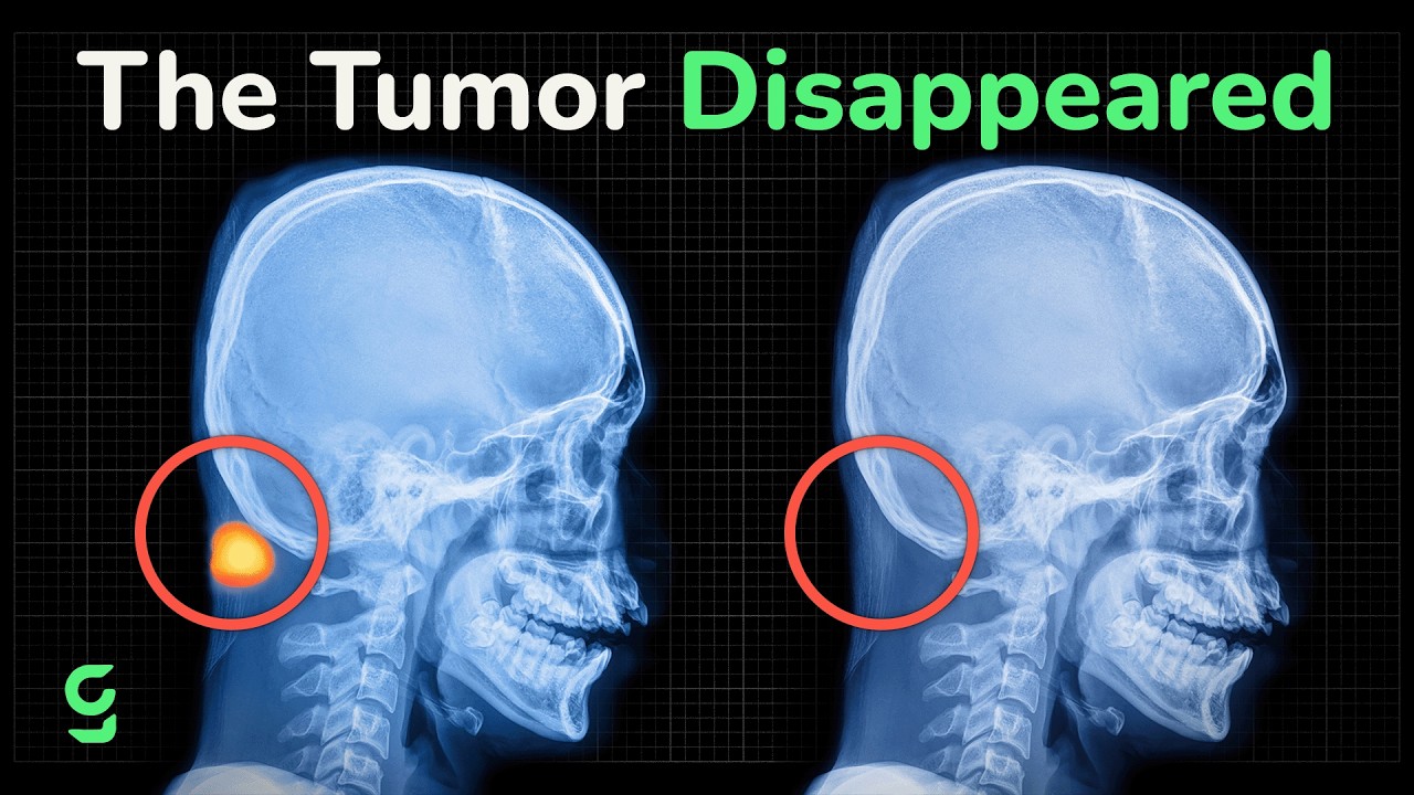 The Biggest Cancer Breakthroughs of 2026