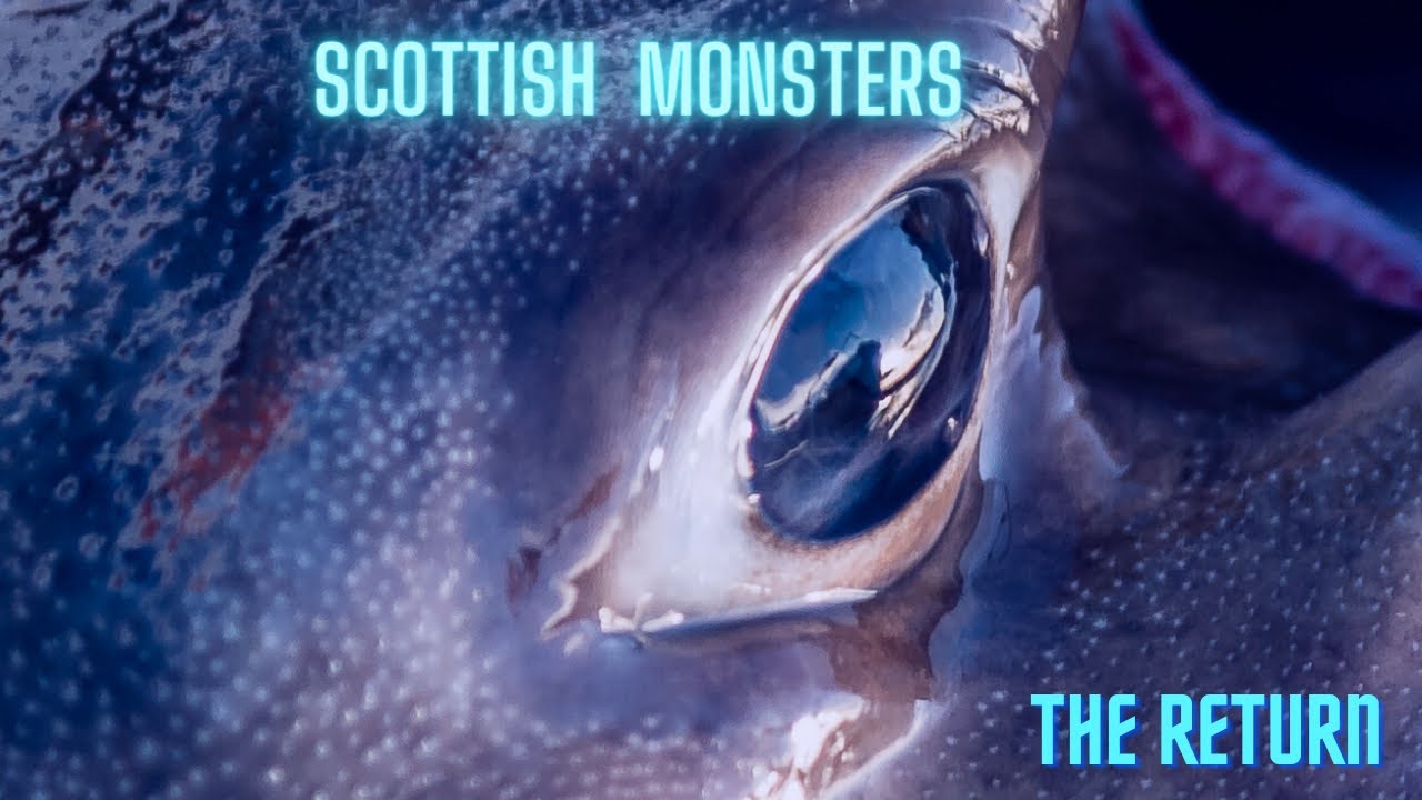 SCOTTISH MONSTERS the return. Skate Fishing in Scotland. UK Sea fishing