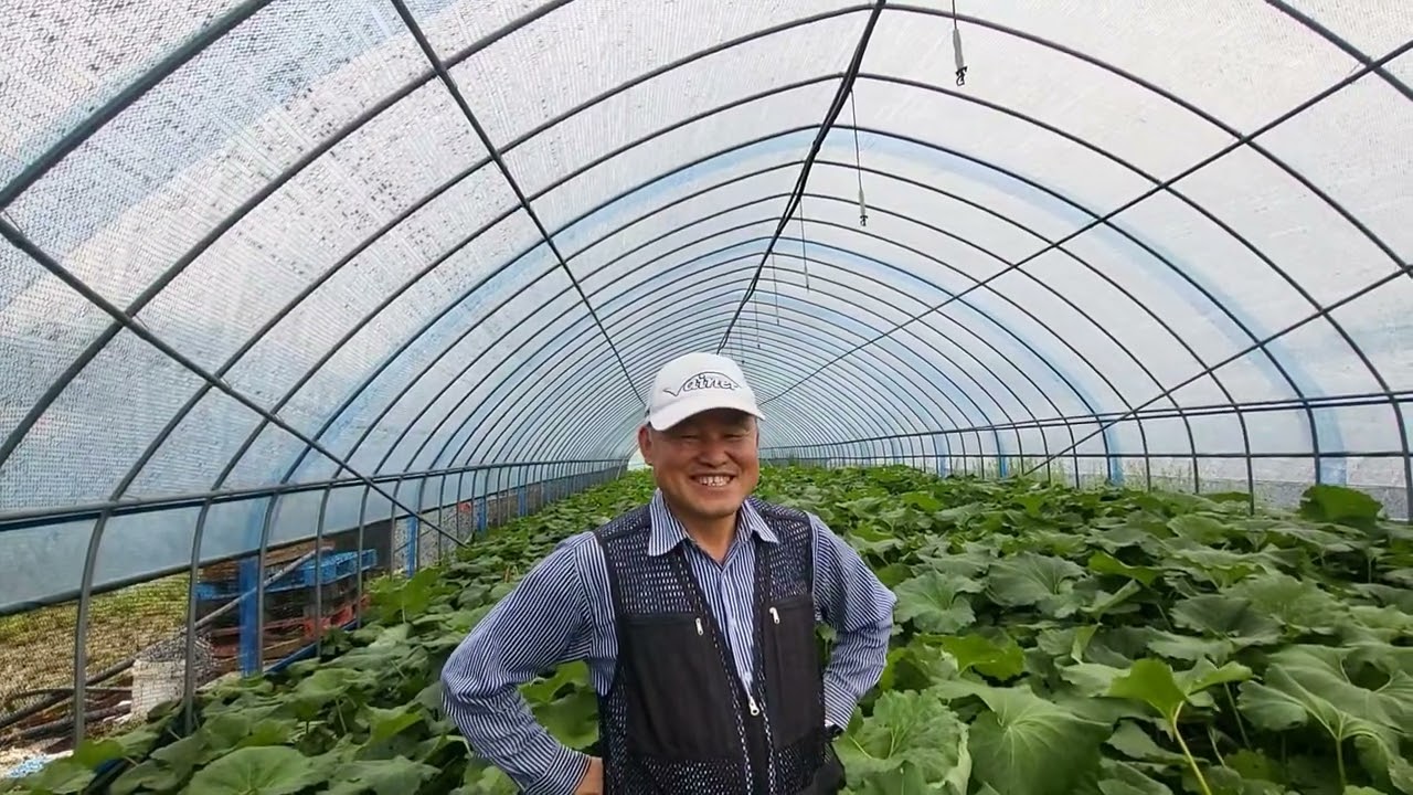 서천지역에서 머위  재배, 정종실 회장