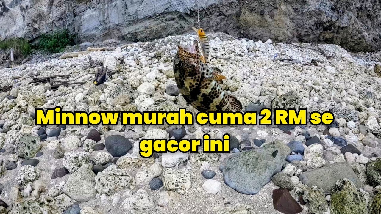 Umpan ini sangat di sukai ikan karang | Ultralight fishing rod and rell | ultralight fishing video