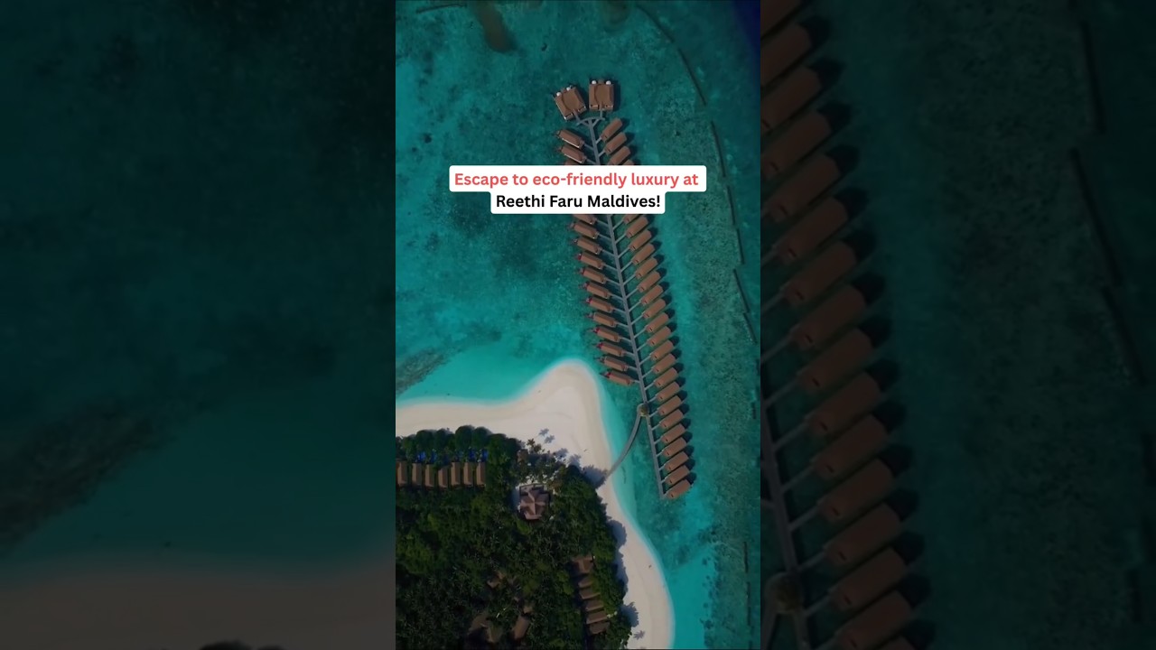 Reethi Faru Resort, Maldives #reethifaru #visitmaldives