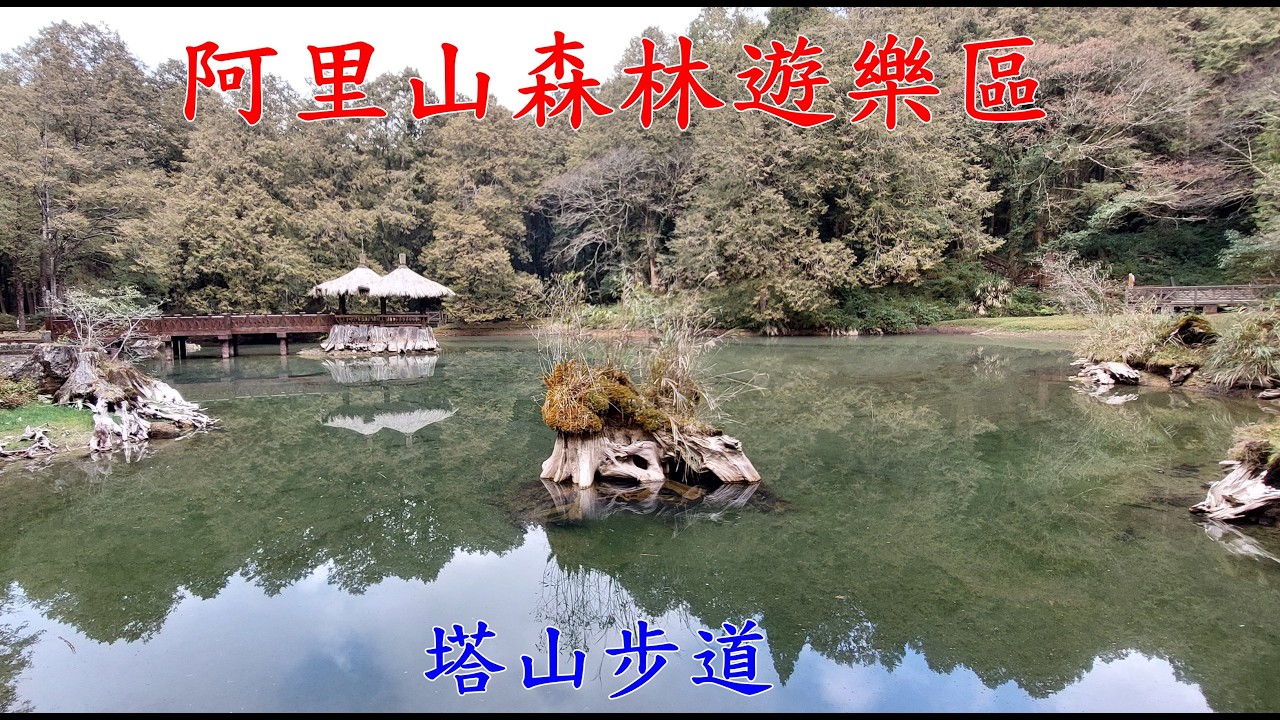 阿里山森林遊樂區  櫻王 森之道 林之道 櫻之道 塔山步道 大塔山是阿里山山脈最高峰也是小百岳 森鐵阿里山線 眠月線  神木線 祝山線 沼平車站 沼平公園   姊妹潭 木蘭區 受鎮宮 阿里山轉運站