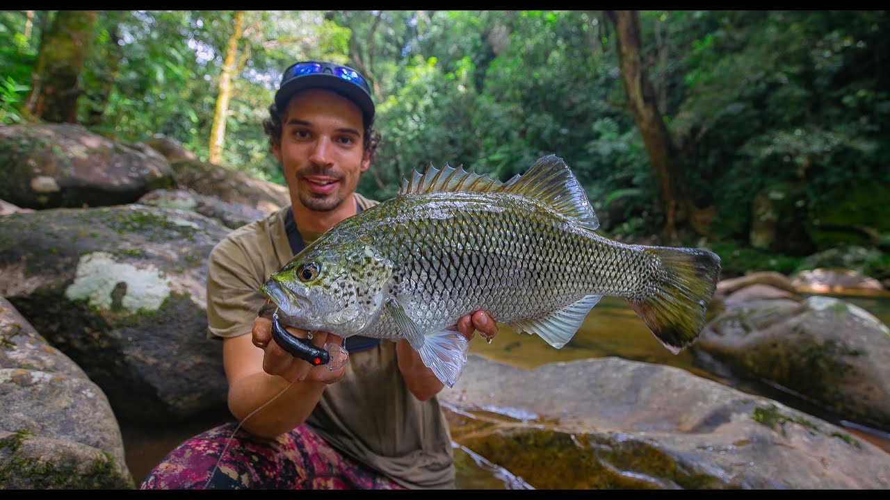 Exploring remote jungle waterfalls - Catching HUGE jungle perch on TOPWATER