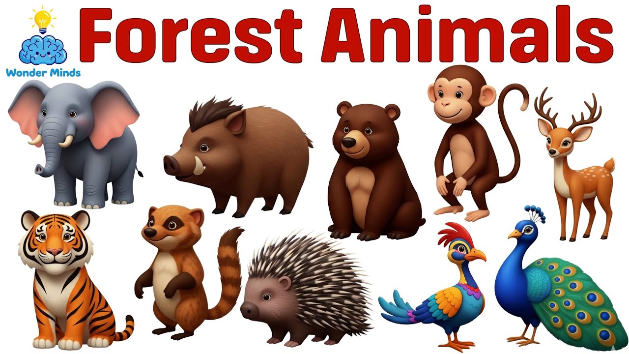 Forest Animals for Kids 🌳 | Learn 10 Forest Animal Names & Fun Facts #forestanimals #animalnames