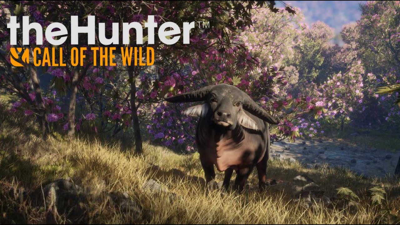 💥[Wbijaj na Live!]💥Wieczorne Łowy / theHunter Call of the Wild live by LOFT