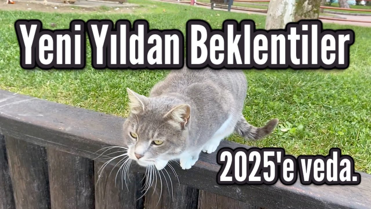 Yeni Yıldan Beklentiler - 2026