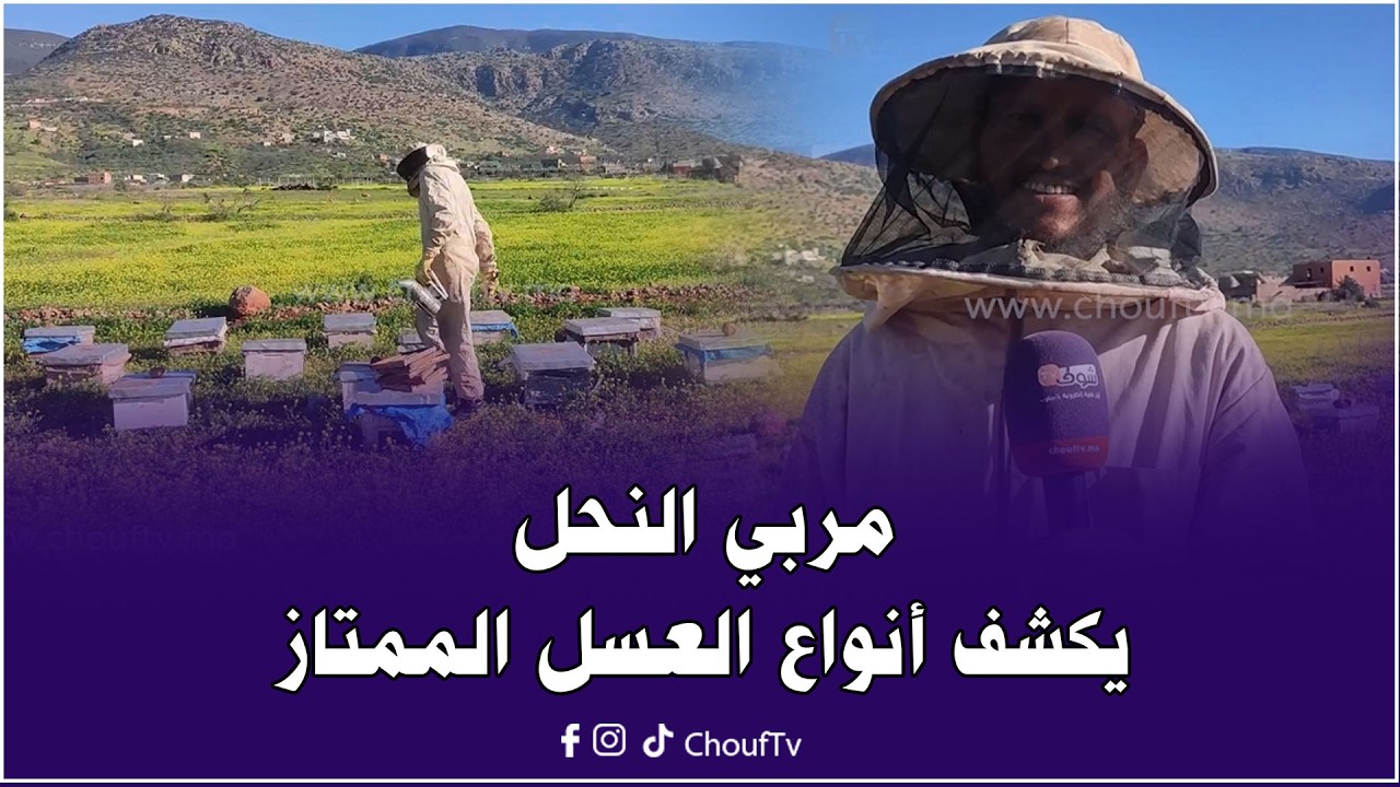 هام للمغاربة.. مربي النحل يكشف أنواع العسل الممتاز من واويزغت إقليم أزيلال