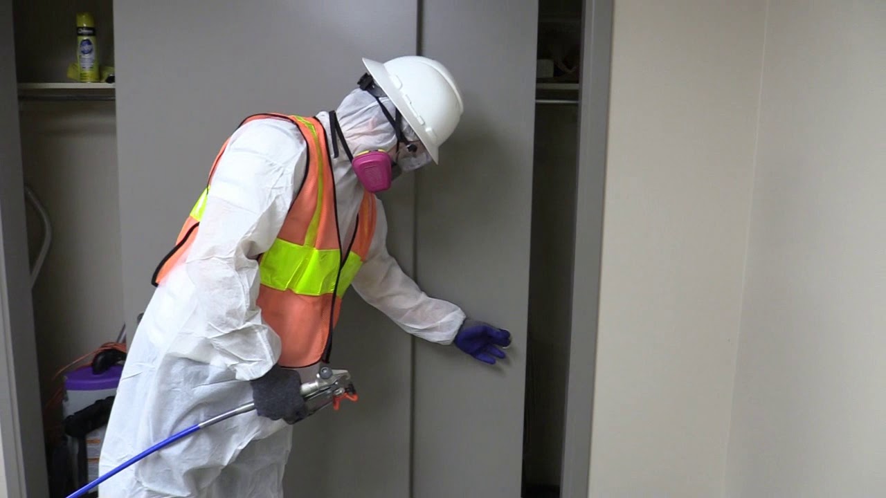Major Cleanup Office Disinfection