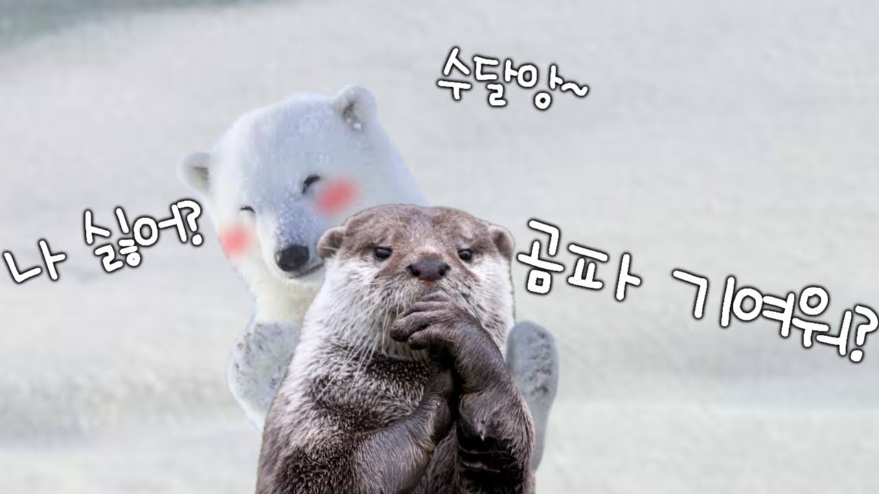 역할 바꾸기?