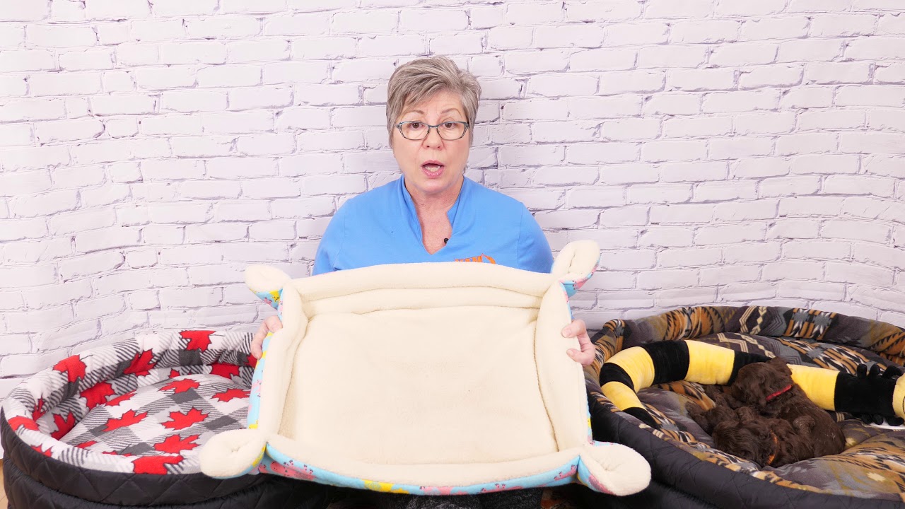 Labradoodle dog bed and crate video