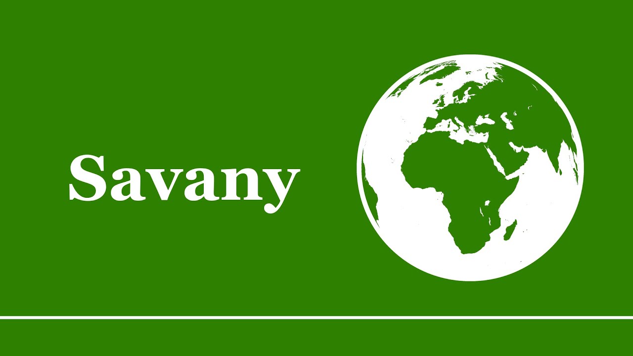 Savany, Přírodní oblasti, Zeměpis ZŠ/SŠ