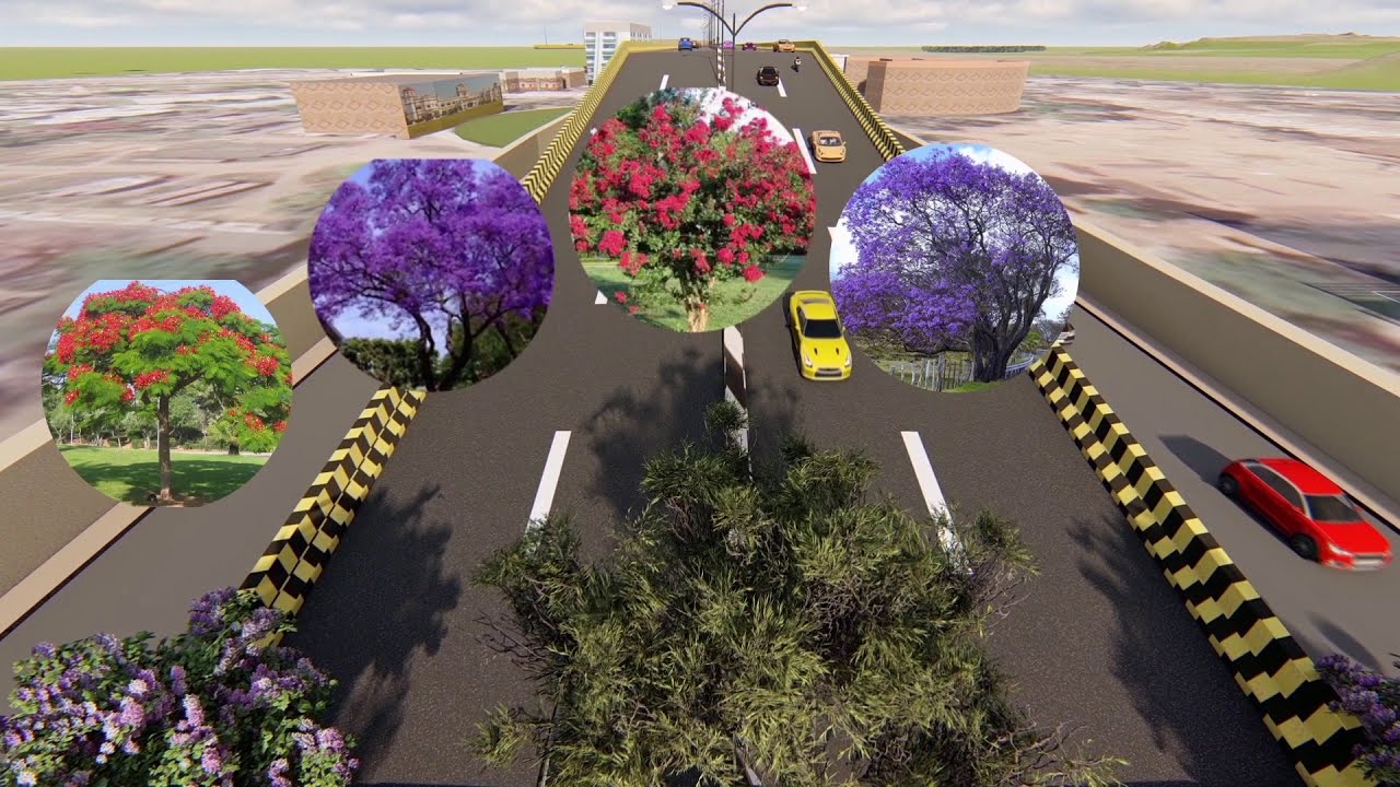 Redevelopment of Birchand Patel Marg - Patna Smart City Project