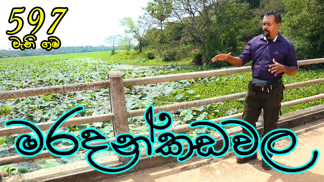Gamata Namak - (කවුඩුල්ල - Maradankadawala)