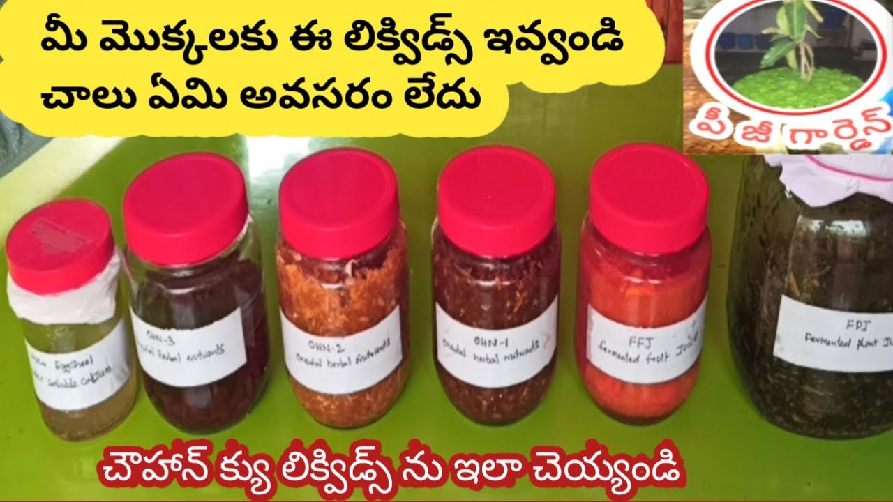 FFJ. FPJ. eggshell || chohan Q methods fertilizers