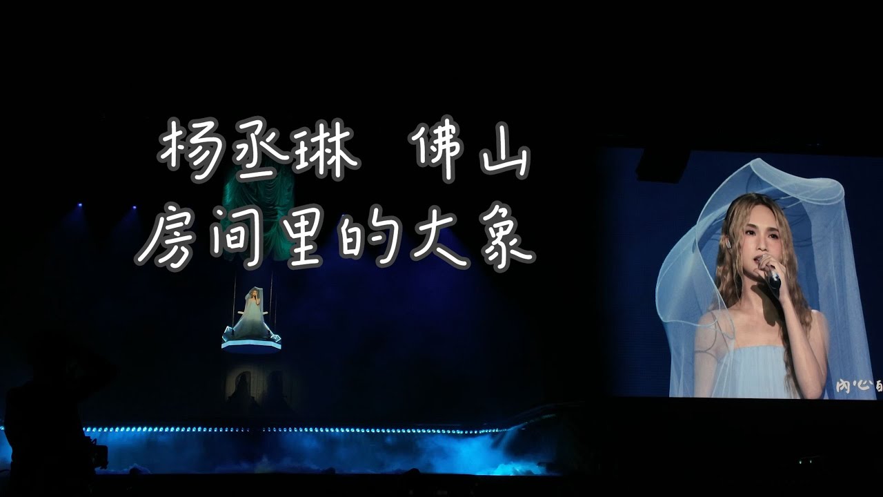 杨丞琳佛山演唱会 20260110